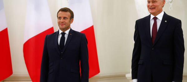 Президент Франции Эммануэль Макрон и президент Литвы Гитанас Науседа Президент Франции Эммануэль Макрон и президент Литвы Гитанас Науседа - Sputnik Беларусь