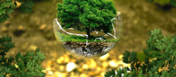 Экология, архивное фото - Sputnik Беларусь