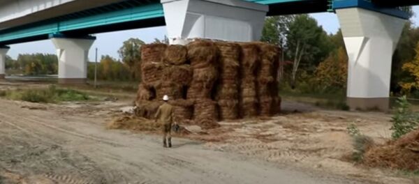 В Гомельском районе взорвали аварийный мост - видео - Sputnik Беларусь