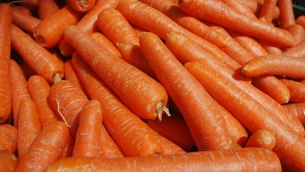 Зачем художник выбросил 29 тонн моркови на лондонскую улицу? - Sputnik Беларусь