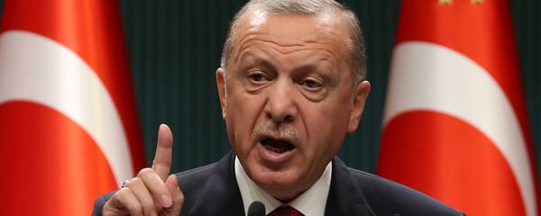 Президент Турции Реджеп Тайип Эрдоган - Sputnik Беларусь