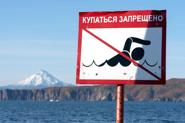 Рейд по берегу Авачинского залива на Камчатке - Sputnik Беларусь
