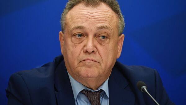 Вице-президент Российского союза туриндустрии Юрий Барзыкин  - Sputnik Беларусь