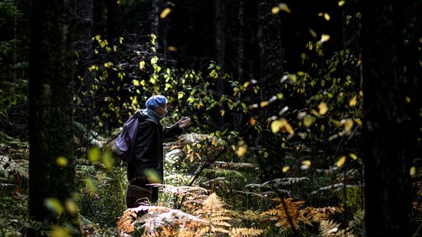Пенсионерка идет в лес за грибами - Sputnik Беларусь