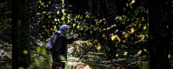 Пенсионерка идет в лес за грибами Пенсионерка идет в лес за грибами - Sputnik Беларусь