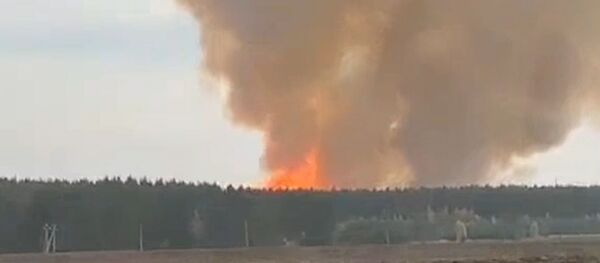 Кадры крупного пожара на складе боеприпасов под Рязанью - Sputnik Беларусь