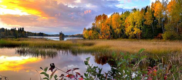 Осенний пейзаж - Sputnik Беларусь