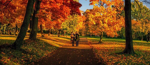 Парк осенью Парк осенью - Sputnik Беларусь