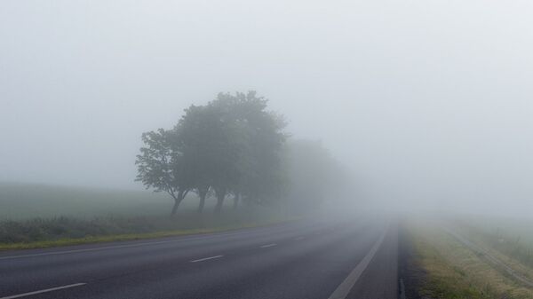 Туман на дороге - Sputnik Беларусь