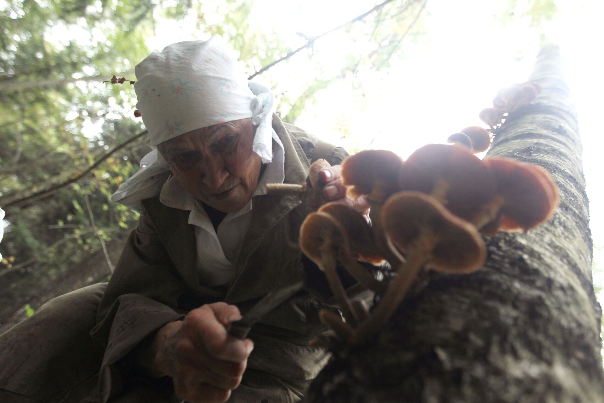 Женщина собирает грибы в лесу - Sputnik Беларусь, 1920, 05.10.2022