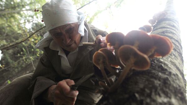 Женщина собирает грибы в лесу - Sputnik Беларусь