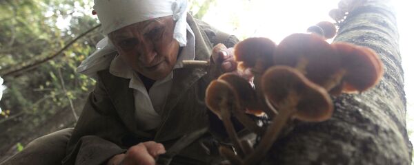 Женщина собирает грибы в лесу - Sputnik Беларусь