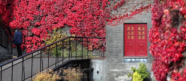 Вид на здание шотландской винокурни Blair Athol, покрытое осенней листвой - Sputnik Беларусь