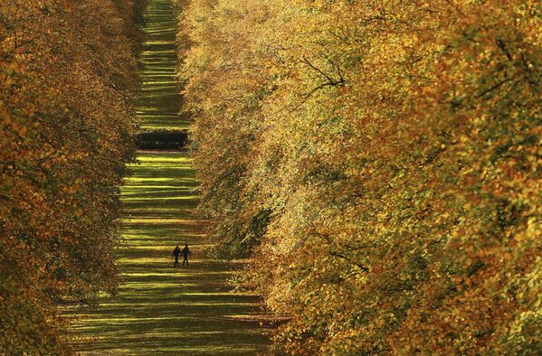 Люди гуляют среди осенних листьев на территории поместья Стормонт в Белфасте, Северная Ирландия - Sputnik Беларусь