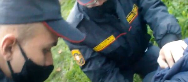 Нетрезвый мужчина избил ребенка в Полоцке  - Sputnik Беларусь