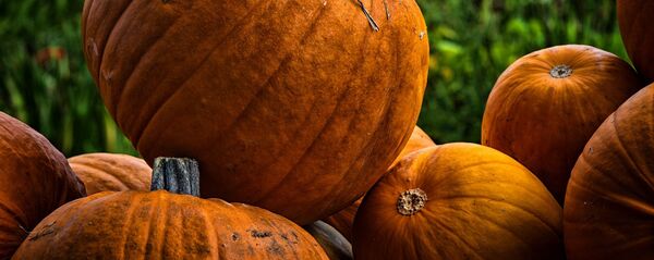 Тыква, архивное фото - Sputnik Беларусь