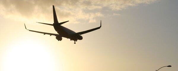 Самалёт заходзіць на пасадку ў Лос-Анджэлесе - Sputnik Беларусь
