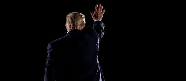 Президент США Дональд Трамп - Sputnik Беларусь