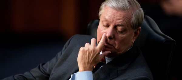 Американский сенатор Линдси Грэм - Sputnik Беларусь