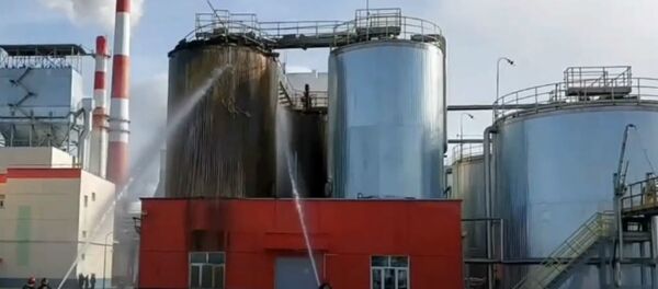 Следователи проводят допросы после гибели мужчины на Светлогорском ЦКК  - Sputnik Беларусь