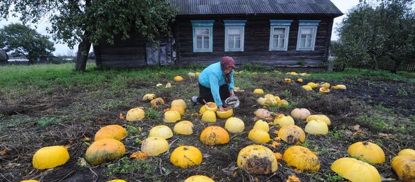 Восень на Палессі Восень на Палессі - Sputnik Беларусь