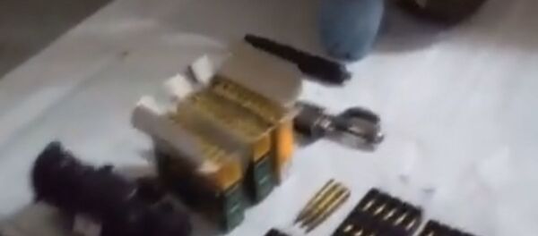 Литовец задержан в Островецком районе - у него  нашли целый арсенал оружия - Sputnik Беларусь