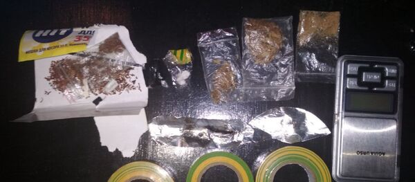 Наркоконтроль задержал потенциального оптовика - Sputnik Беларусь