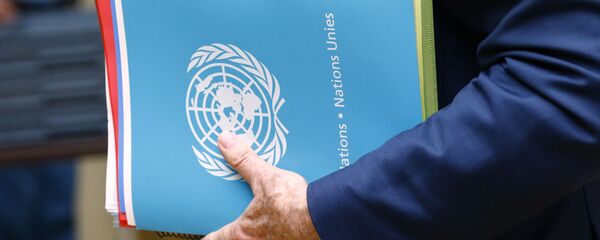 Папка с логотипом ООН - Sputnik Беларусь