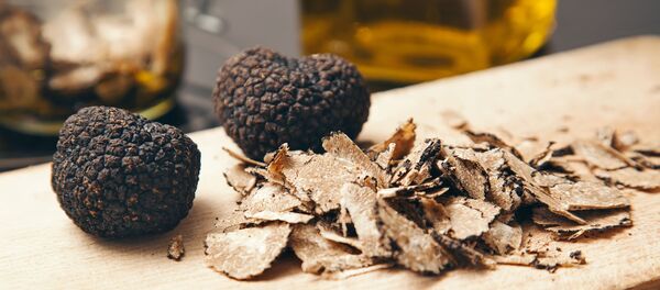 Трюфеля - Sputnik Беларусь