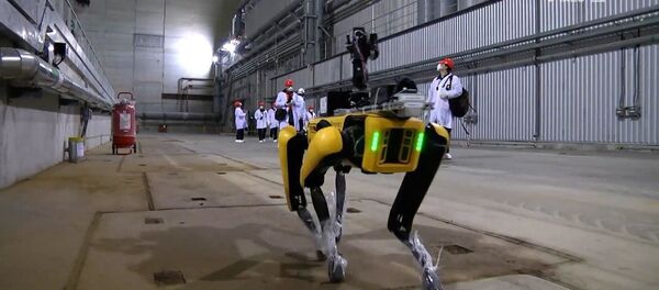 Робот-пес вынюхивает радиацию на Чернобыльской АЭС? видео  - Sputnik Беларусь