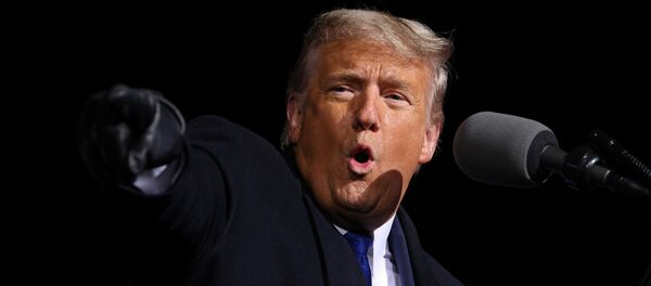 Президент США Дональд Трамп, архивное фото - Sputnik Беларусь