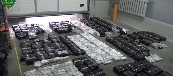 Крупную партию гашиша пытались провезти из Латвии в Беларусь, видео - Sputnik Беларусь