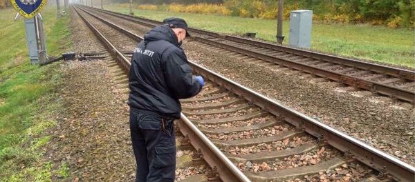 Неизвестный повредил поезд и сигнализацию в Брестской области - Sputnik Беларусь