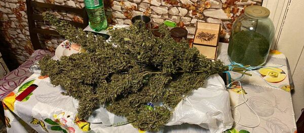 Изъятые у задержанных наркотики - Sputnik Беларусь