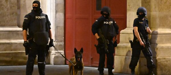 Полиция Вены на месте теракта - Sputnik Беларусь