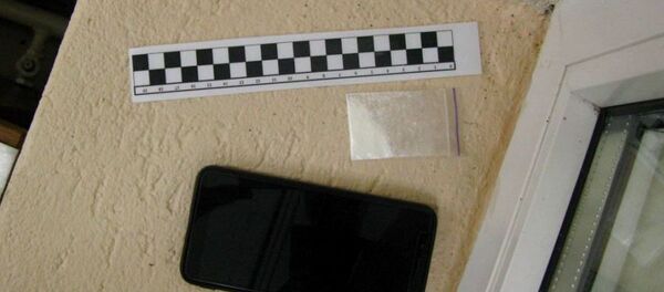 Украинец в чехле мобильного телефона пытался ввезти амфетамин - Sputnik Беларусь