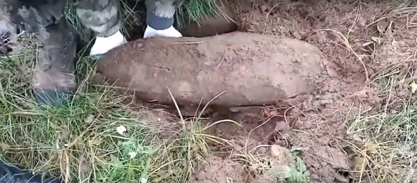 Арсенал боеприпасов времен ВОВ нашли в Гомельском районе - Sputnik Беларусь