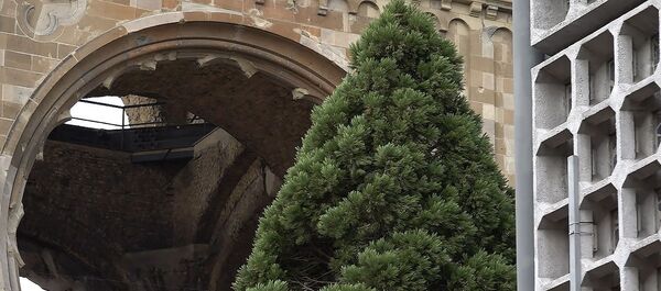 Рождественскую ель уже установили в Берлине – видео - Sputnik Беларусь