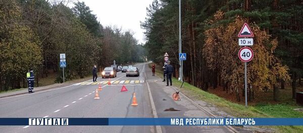 Женщина сбила трех детей на пешеходном переходе - Sputnik Беларусь