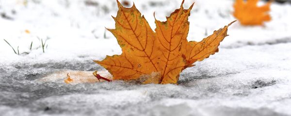 Первый снег, архивное фото - Sputnik Беларусь