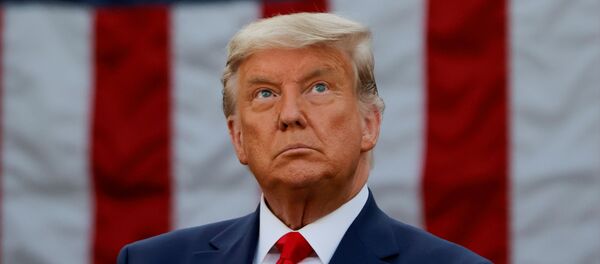 Президент США Дональд Трамп - Sputnik Беларусь
