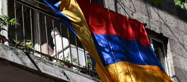 Национальный флаг Армении - Sputnik Беларусь