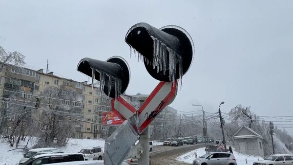 Ледяной коллапс: в Приморье ввели режим ЧС из-за снежного циклона – видео - Sputnik Беларусь