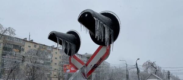 Ледяной коллапс: в Приморье ввели режим ЧС из-за снежного циклона – видео - Sputnik Беларусь