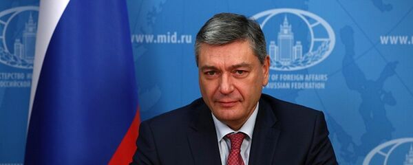Замглавы МИД РФ Андрей Руденко - Sputnik Беларусь