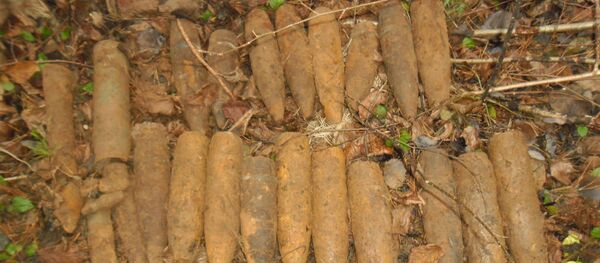 Найденные боеприпасы Найденные боеприпасы - Sputnik Беларусь