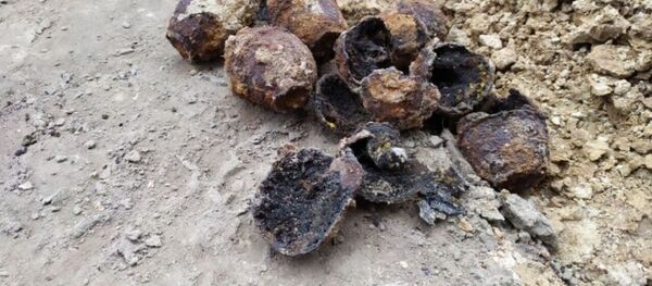 Житель Пинска нашел на участке гранаты времен ВОВ - Sputnik Беларусь