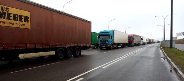 Як сабаку трэба стаяць на дарозе: што адбываецца на мяжы з Літвой Як сабаку трэба стаяць на дарозе: што адбываецца на мяжы з Літвой - Sputnik Беларусь