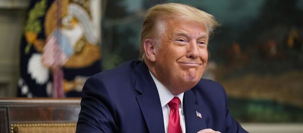 Президент США Дональд Трамп Президент США Дональд Трамп - Sputnik Беларусь