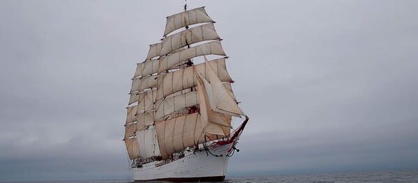 Барк Седов завершил кругосветную экспедицию и вернулся в Калининград – видео - Sputnik Беларусь